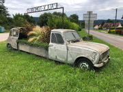 IMG-2433.jpg