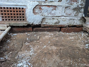 PXL-20240901-163143672.jpg