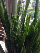 CEAE71F2-AD77-40AD-B959-DF5F5973EF99