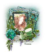 TLCupZindyTTDVeronica-vi