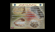 فیلمها و برنامه های تلویزیونی روی طاقچه ذهن کودکی - صفحة 15 P-K-10