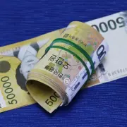 디비손해보험