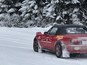 [Immagine: IMG_7436.jpg]