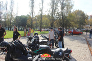 IMG-3618