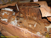 DSCN3550