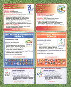 Album-Calciatori-2011-2012-Panini-135