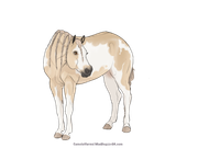 2FF6A596-9103-4482-8BEE-B510BF976293