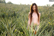 lolita-cheng-350002