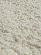 PXL-20240107-211832312