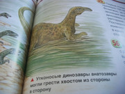 https://i.postimg.cc/jLtj0NhJ/100-8593.jpg