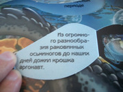 https://i.postimg.cc/jLvBkmyY/100-8654.jpg