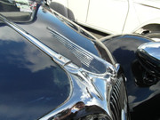 SAM-0320.jpg