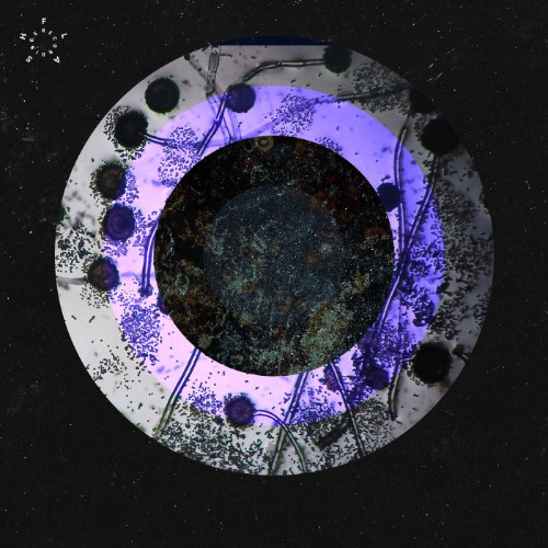 Abnormal Load, Elzen - Liquid Lunch EP (2026)