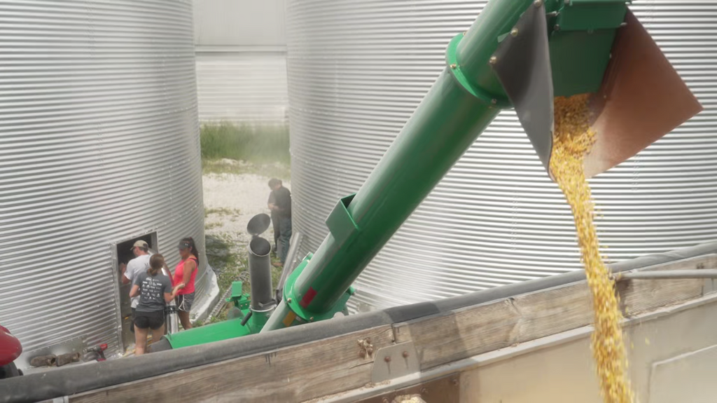 [Image: edbwux196th6.png]