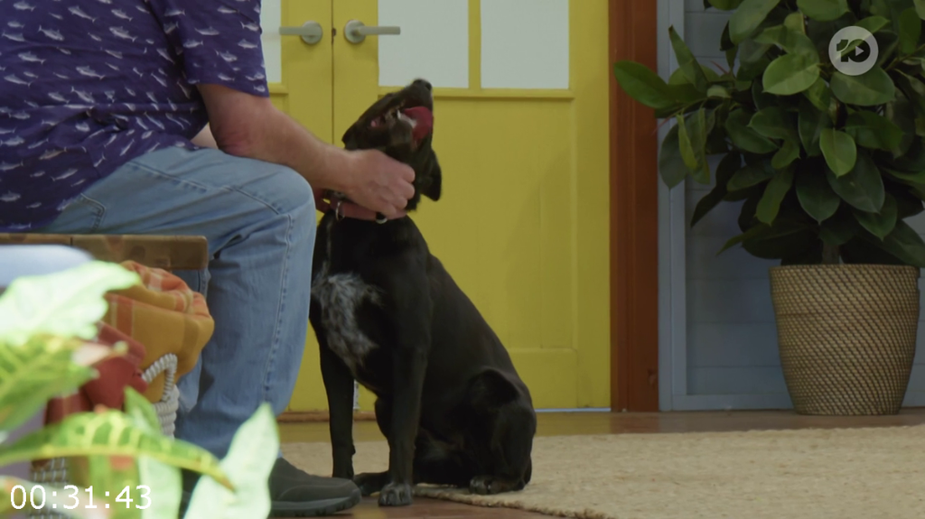 [Image: 38ooq8wzqsw-3.png]