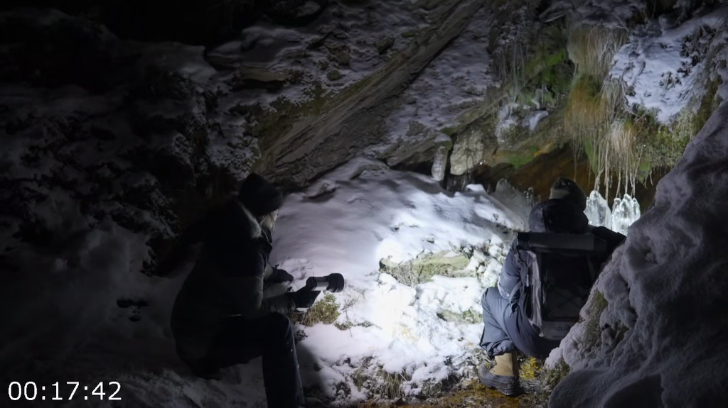 [Image: s5p74kk6fnoe.png]