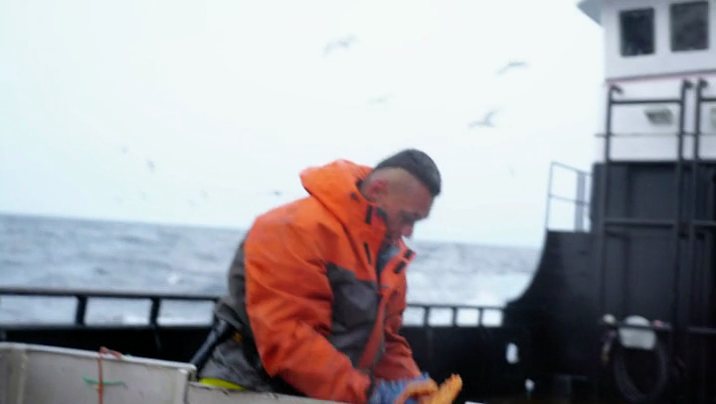 [Image: fmsdq82s1ox2.png]