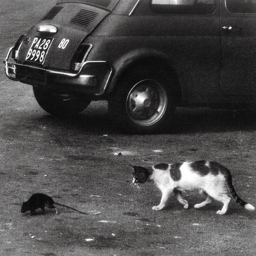 [Image: 2lve9rece32w.jpg]