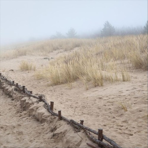 Vik Ho - At The Shore (2025)