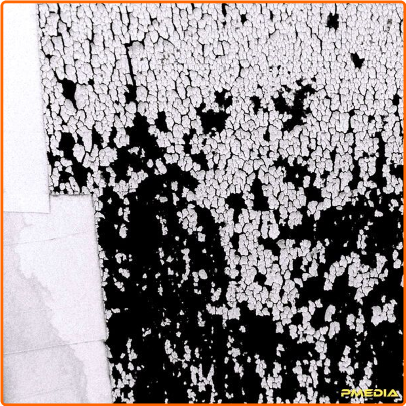 [Image: vpljf63l89bd.png]