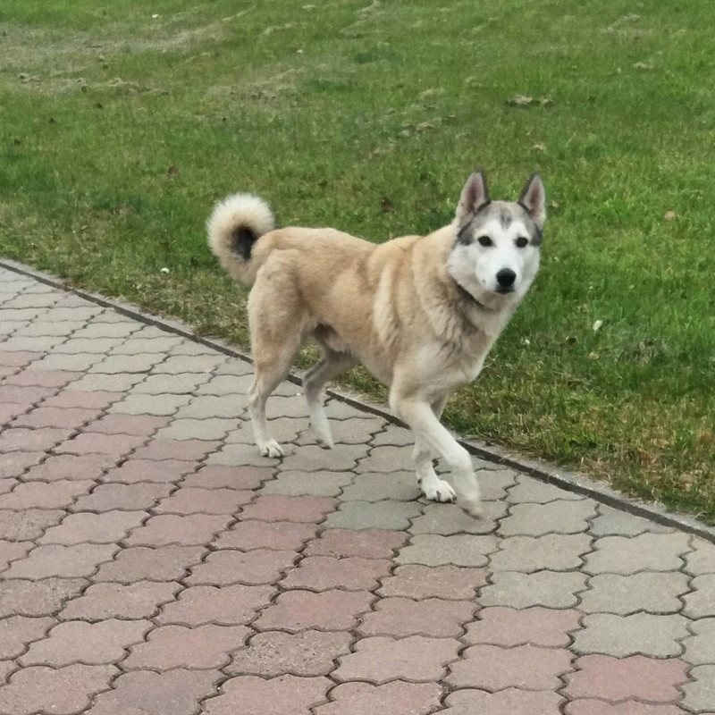 8CF8F740-064F-41AD-BC45-FA40B3E352CD