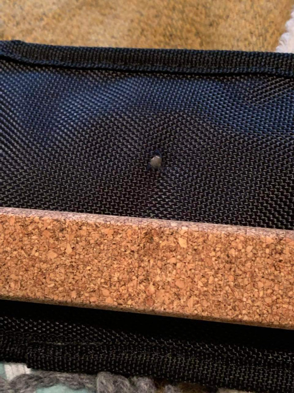 77094B8E-6E56-42D3-8D28-D7EBEC80745A