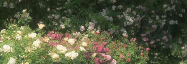 Untitled349_20240222211704
