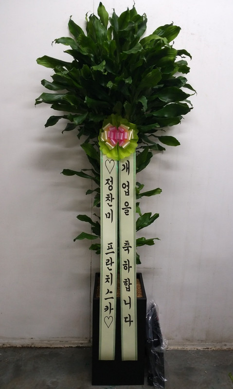 명품 황금죽14