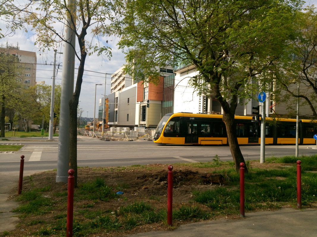 Kép