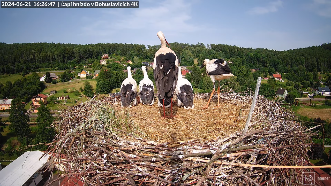 Tiešraidē no uzņēmuma KARA stārķa skursteņa Bohuslavicē pie Trutnovas 12-38-47 screenshot