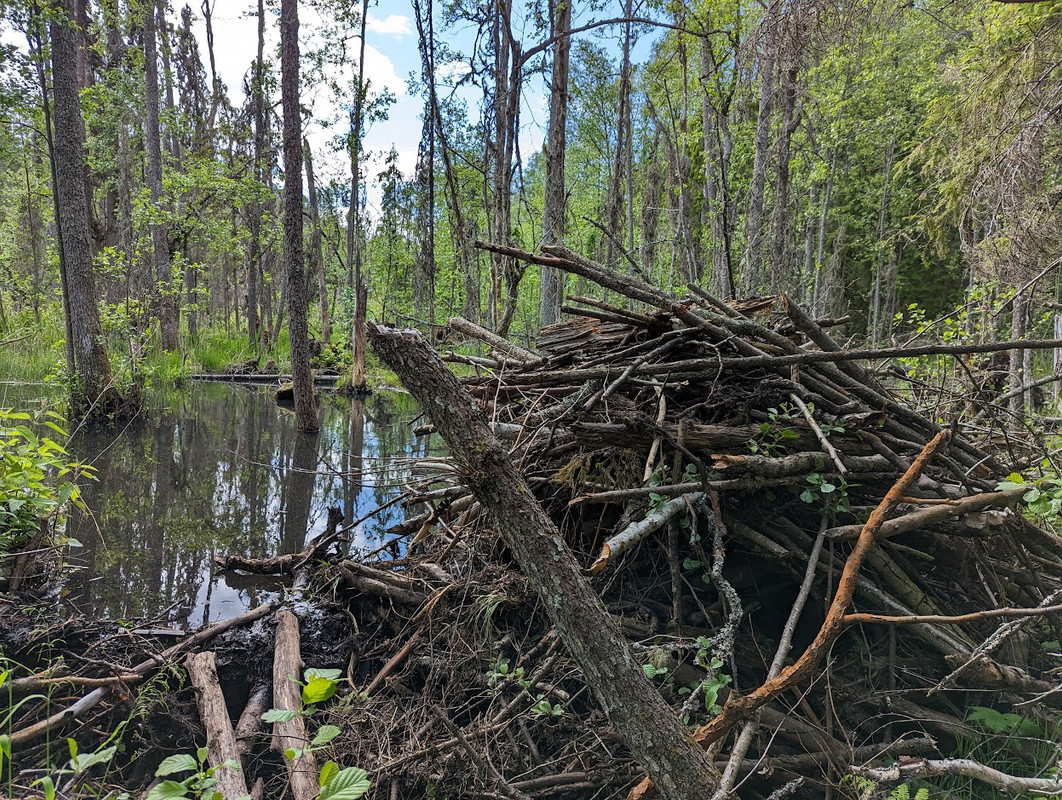 PXL_20230603_120315548