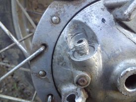 12170506_1472584519717620_952550443_n