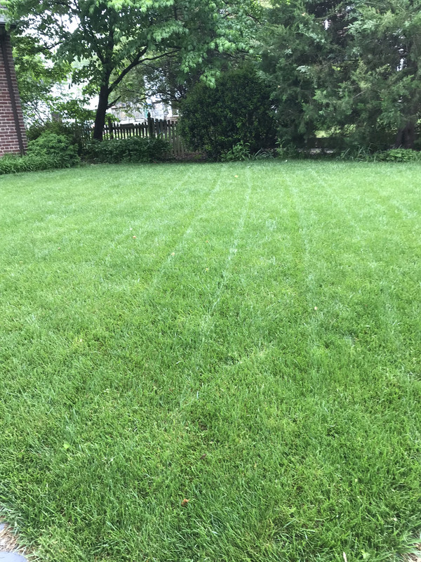 FB9BE855-5B8F-432B-8D6A-48046872D43F