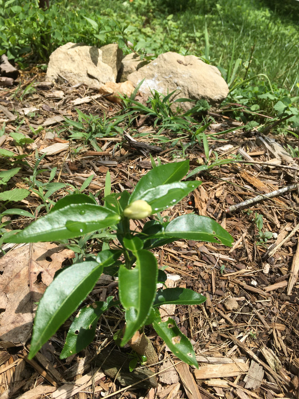 9BB2DBFC-385E-4929-85B0-9F59BB4097DE