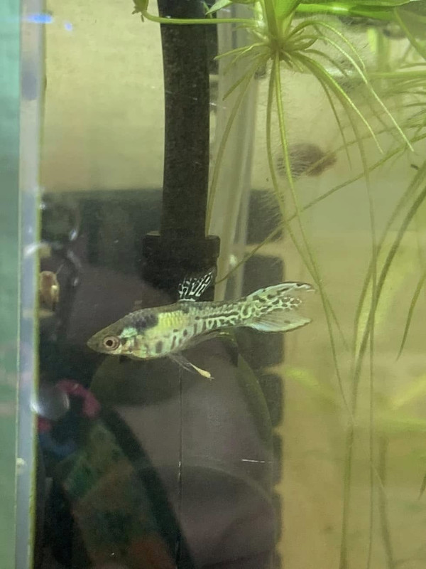 474533115_10232087321858387_8653514456073821309_n