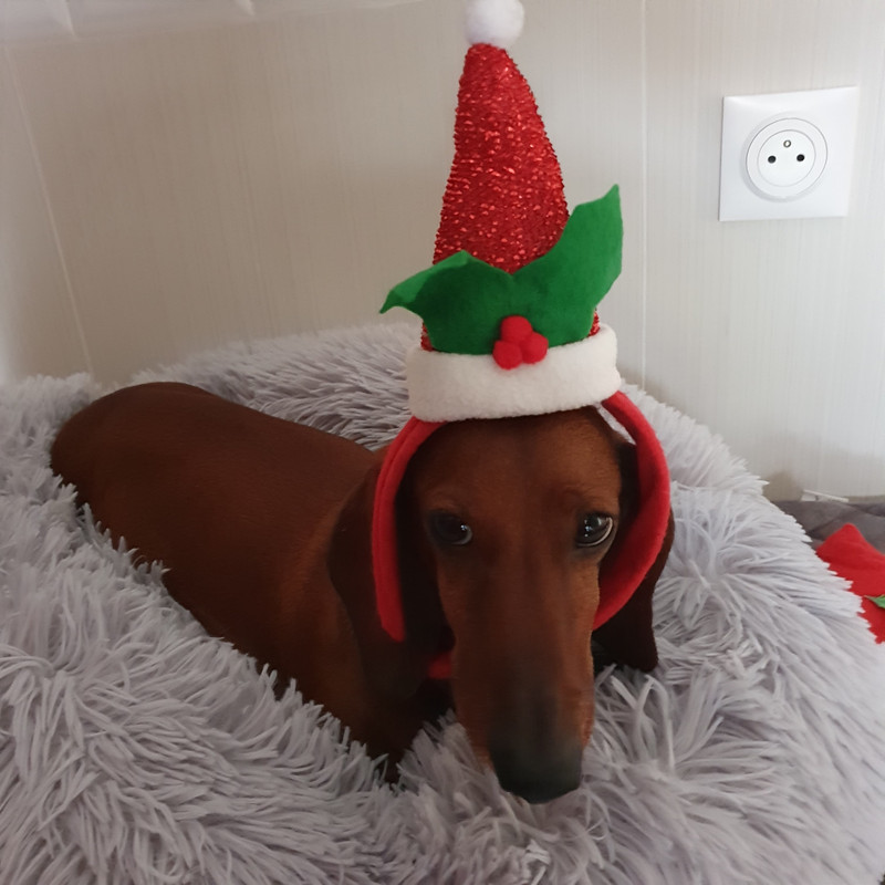 [Image: 20211204-111404.jpg]