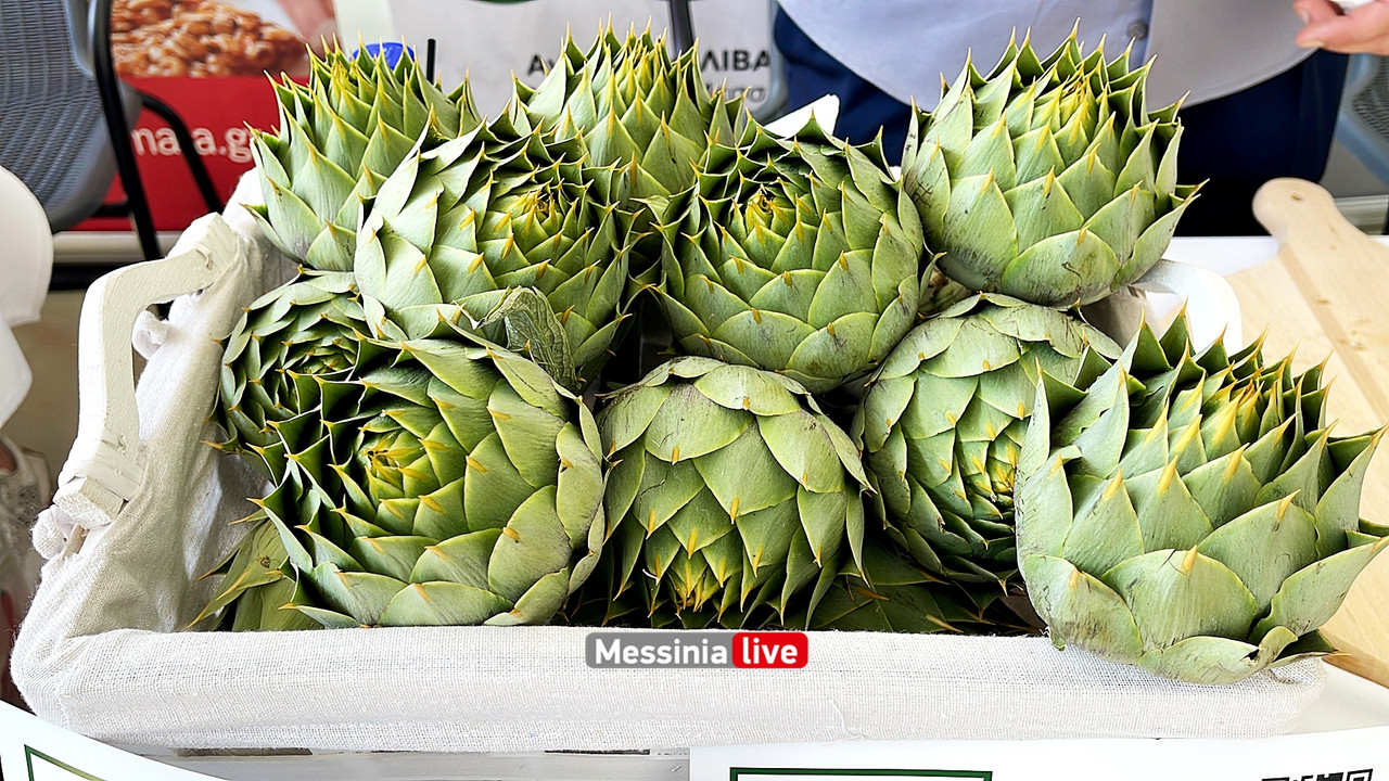 ΦΟΡΟΘΜimage00010