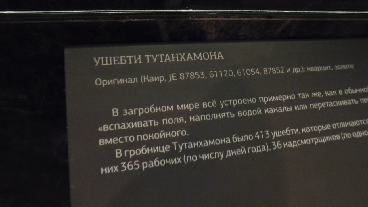 ВДНХ июнь 2023 041