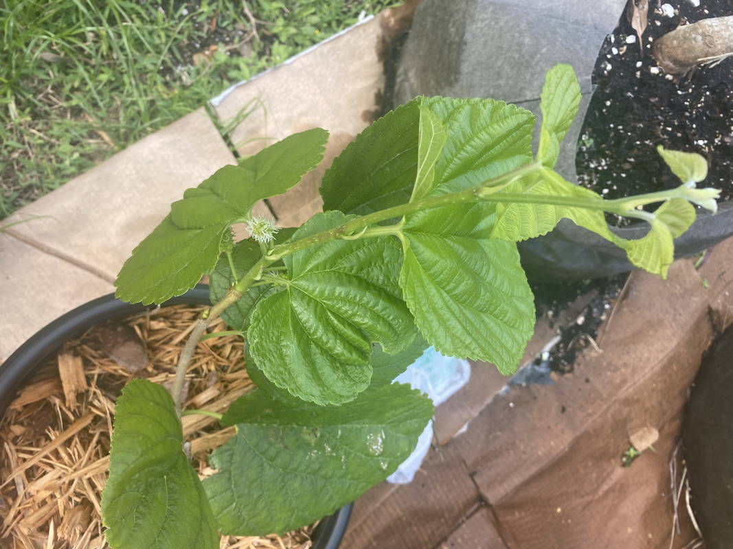 3F3EBE3F-D209-42BB-A409-E1E9E431EA99