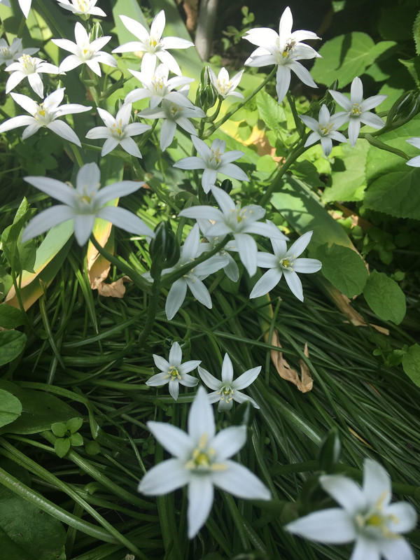 0E25EA60-DB60-4D6B-A20D-A83BC1214096