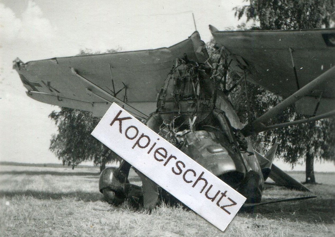 in Oschen Osno Polen (1)