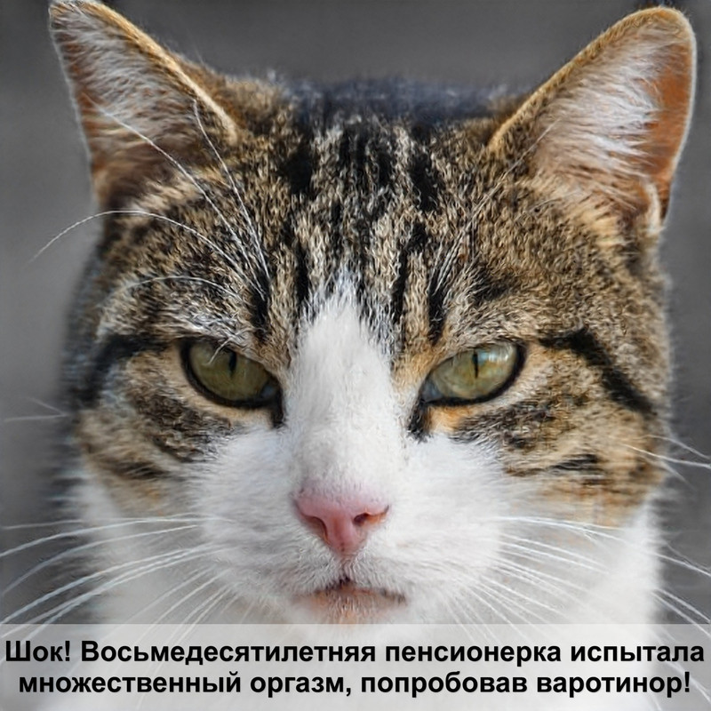 название кошек лысых