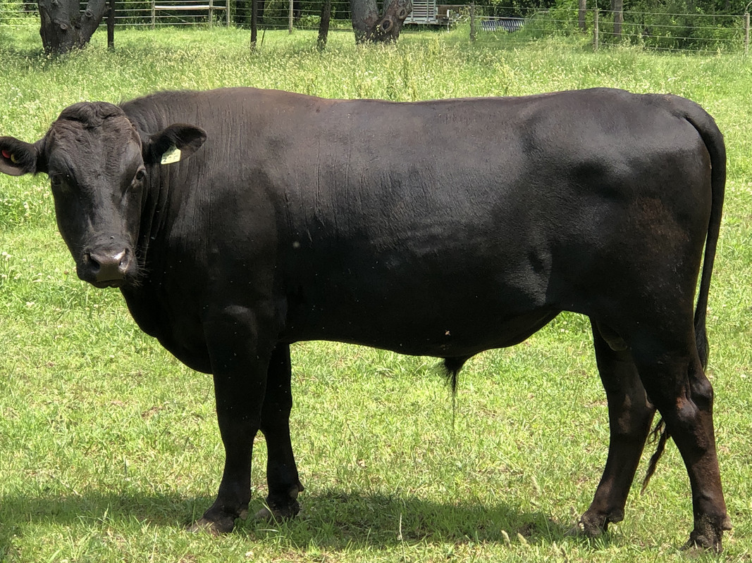 EC0D180C-F634-483F-8623-42639229E50C