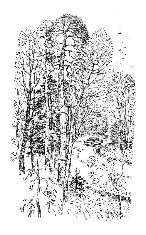 p0005
