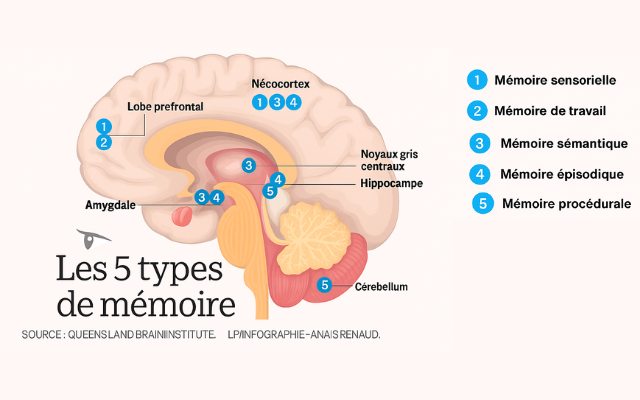 Découverte Scientifique