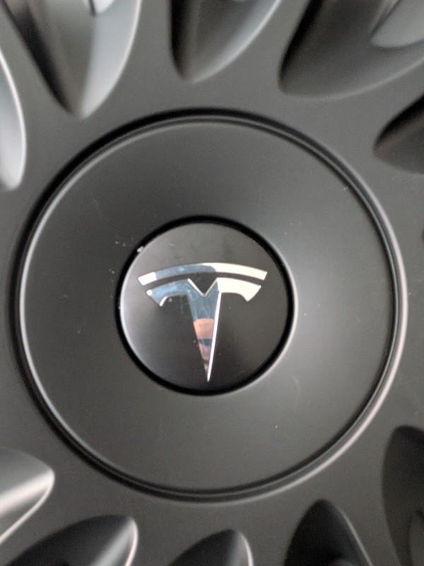 Silver Logo View 1