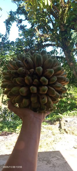 591796353 2147066339159332 5424444781770545483 n