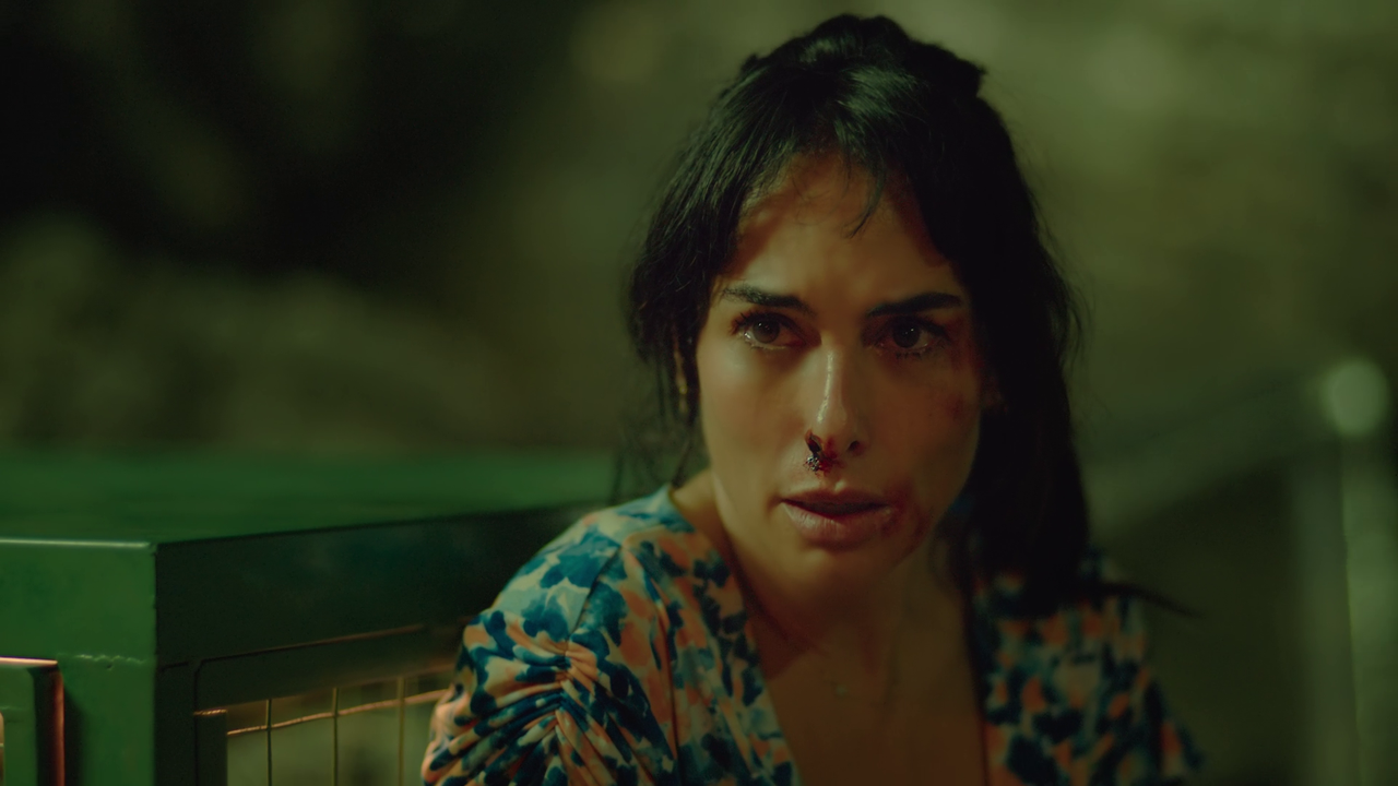 vlcsnap-2024-11-13-14h46m24s388