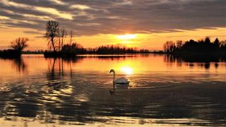 Phòng Thơ Cộng Đồng (Gửi Bài Viết) Sunset-over-Lake-oderica-in-the-northern-region-of-the-County-o