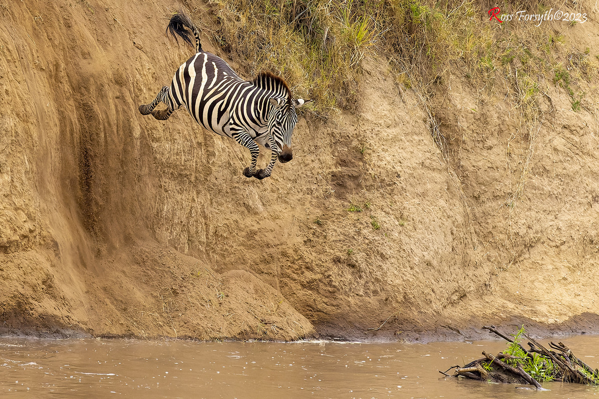 _5RF2408-CR3_DxO_DeepPRIME